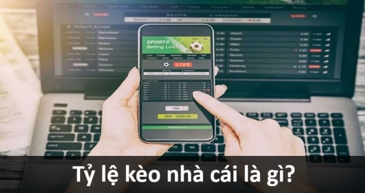 Bóng đá số và tỷ lệ lèo 